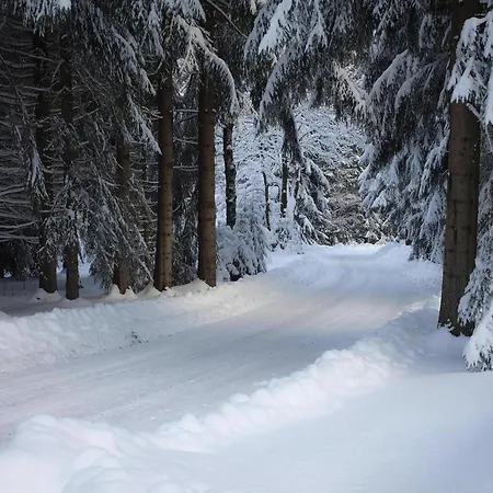 Holiday Erzgebirge Idyll Breitenbrunn Tatil Evi